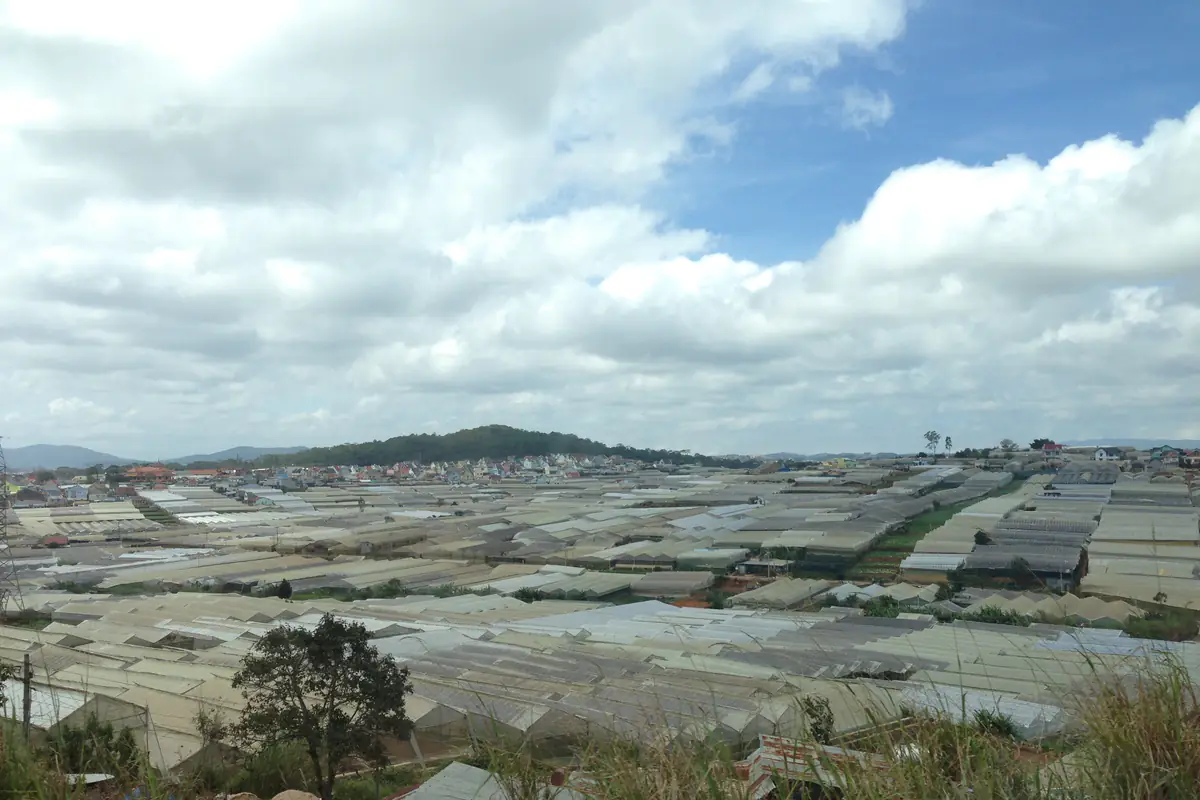 A valley covered in farm greenhouses on the edge of Da Lat, with pine-covered hills under a cloudy sky