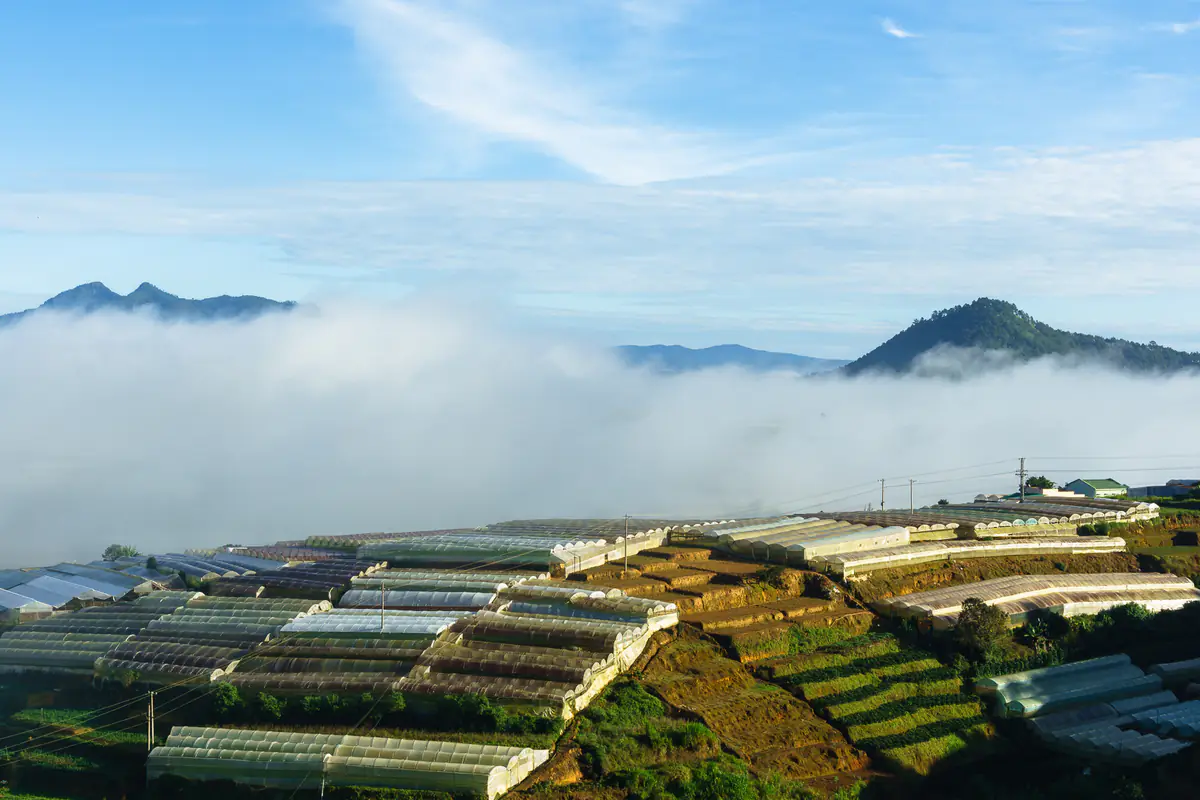 A band of white cloud lying below a blue mountain ridge, above terraced vegetable plots and greenhouses near Da Lat