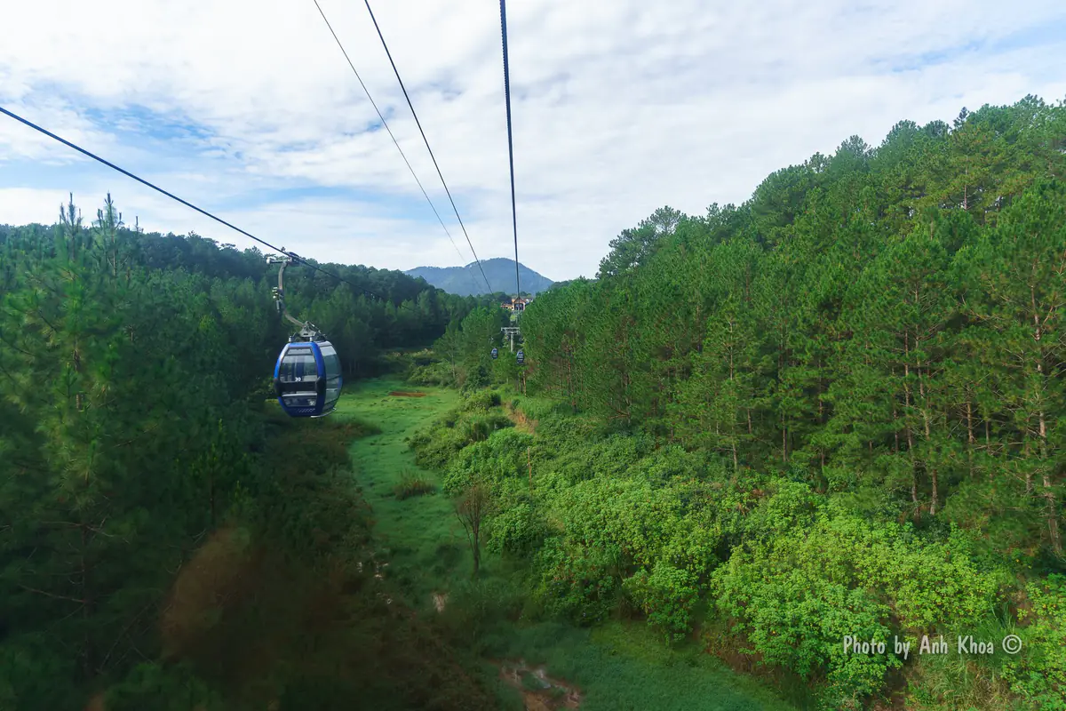 Tuyến cáp treo Đà Lạt chạy giữa hai sườn đồi thông, một cabin đang đi xuống thung lũng cỏ xanh