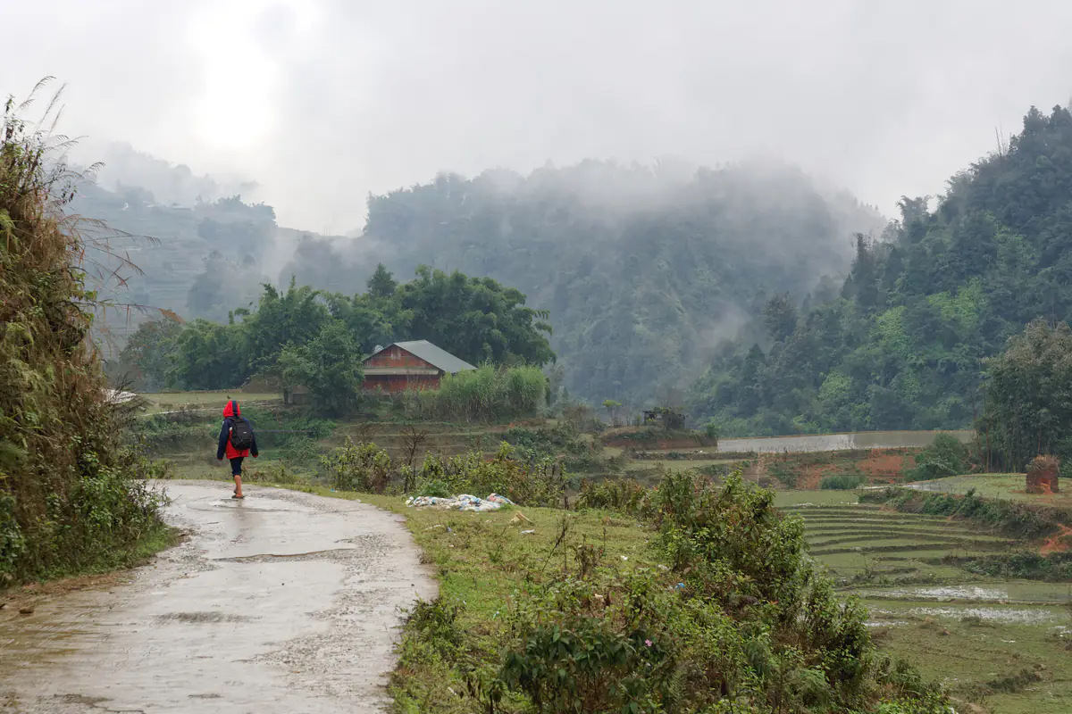 Con đường làng ướt mưa giữa ruộng bậc thang bỏ trống ven Sa Pa, sương mù phủ đồi núi phía sau, tháng 1/2024