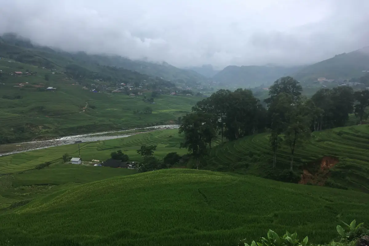 Ruộng bậc thang xanh ở thung lũng Mường Hoa, Sa Pa, dòng suối chảy giữa thung lũng và mây phủ dãy núi phía xa, tháng 8/2018