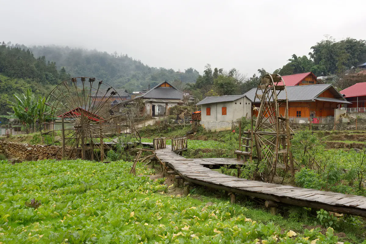 Hai guồng nước bằng gỗ cạnh lối đi lát ván giữa ruộng rau ở bản Cát Cát, nhà người Mông phía sau, sương phủ đồi núi trong một ngày đông tháng 1/2024