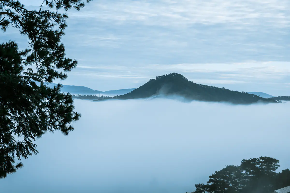 Da Lat cloud forecast illustration: a pine-covered hill rising above a flat layer of fog like a sea of clouds on the outskirts at dawn, a viewpoint above the cloud deck
