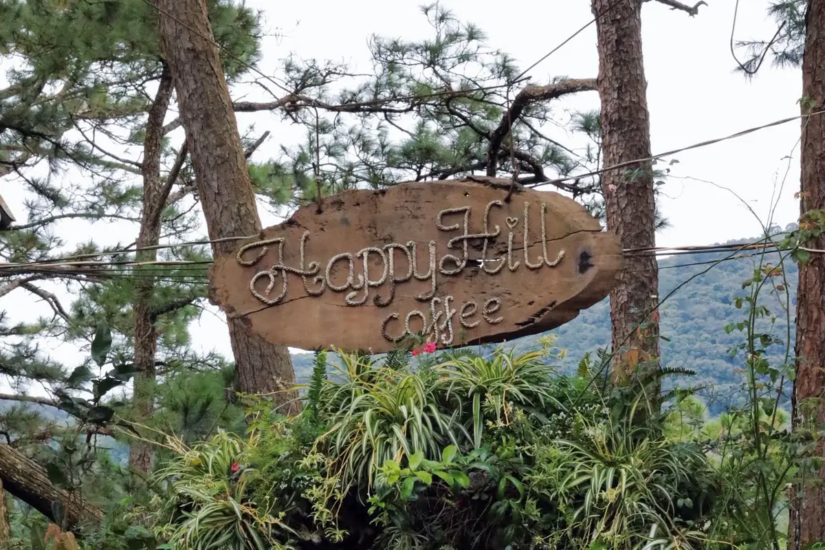 Biển gỗ “Happy Hill coffee” treo giữa hai thân thông, phía dưới là cổng phủ cây dương xỉ và lan chi