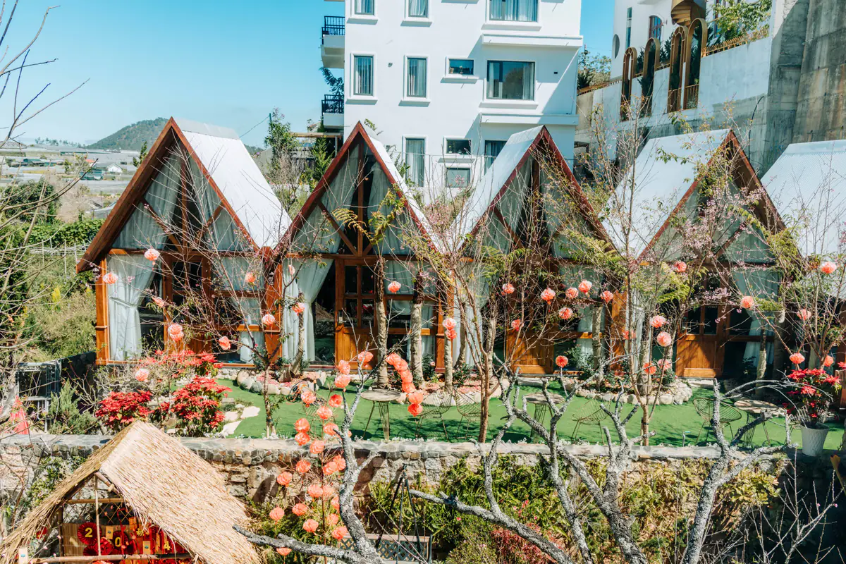 Dãy bungalow gỗ mái chữ A lợp tôn, rèm trắng, sân cỏ phía trước có bàn ghế và cây treo đèn lồng hồng, phía sau là tòa nhà nhiều tầng, ở Nhà Sói, Đà Lạt