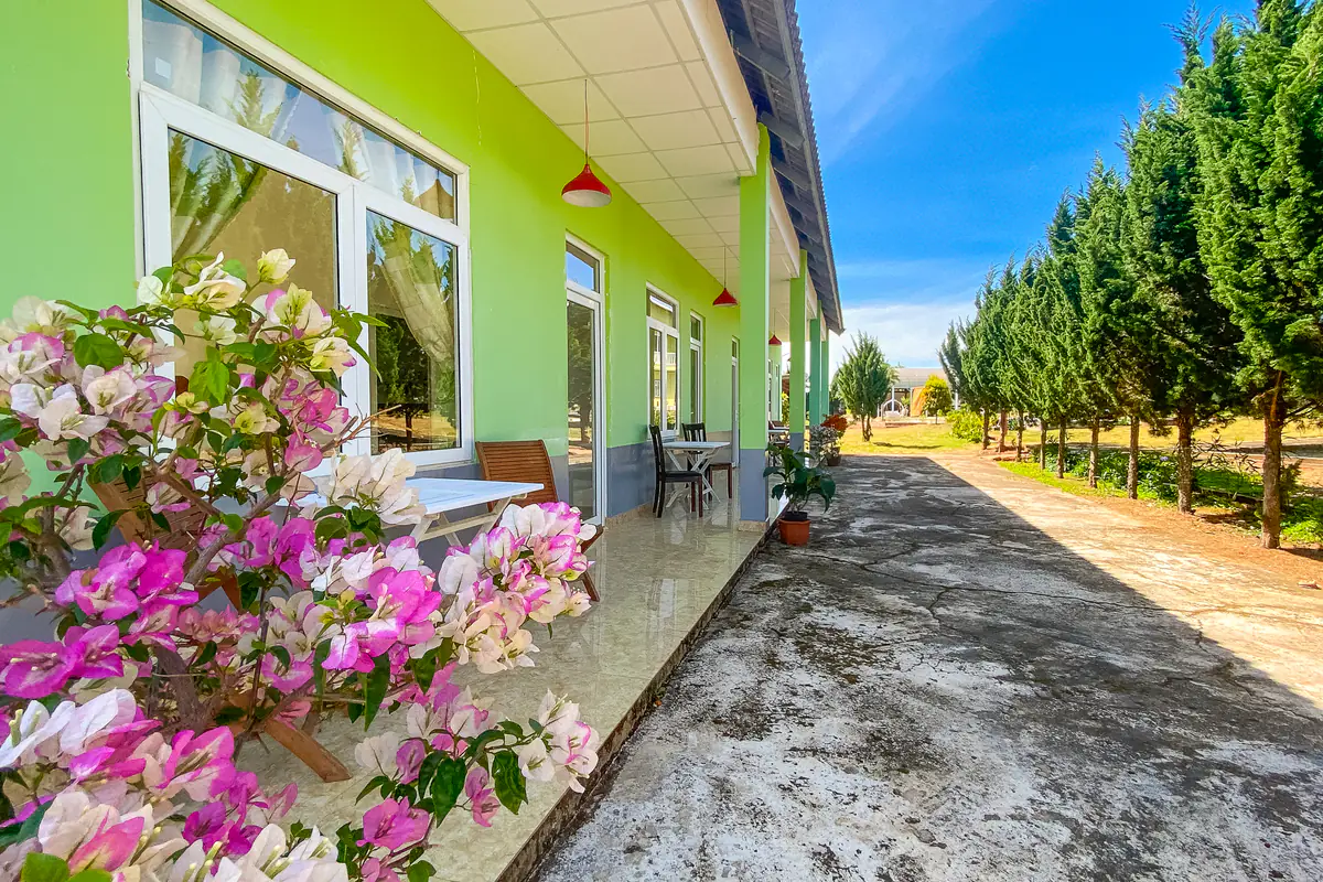 Dãy phòng tường xanh lá có hiên lát gạch đặt bàn ghế, khóm hoa giấy phía trước, lối đi bê tông và hàng cây bên bãi cỏ ở Robins Farmstay, Tà Nung, Đà Lạt
