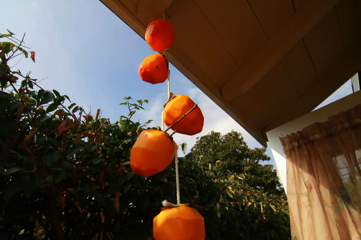 A string of peeled persimmons, stems still on, hanging under the eaves to become Japanese-style dried persimmons (hoshigaki)