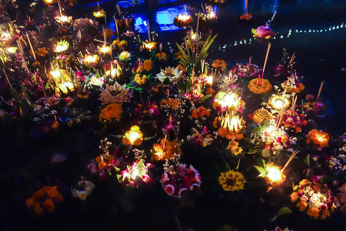 Hàng chục krathong thắp nến, cắm nhang và hoa vạn thọ trôi sát nhau trên mặt nước dịp Loy Krathong ở Chiang Mai, tháng 11/2015