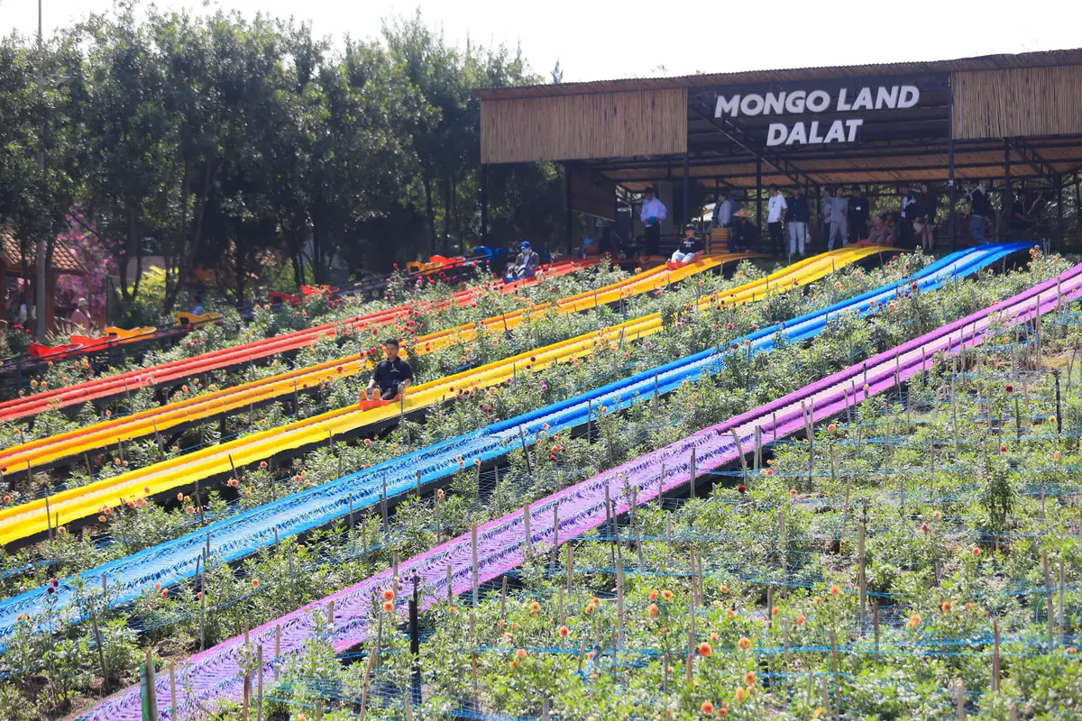 Multi-coloured slide lanes running down a flower-planted slope, with the Mongo Land Dalat shelter at the top