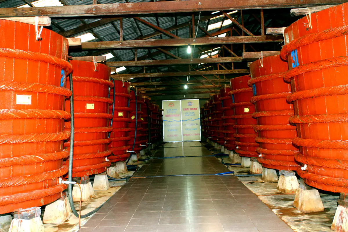 Two rows of red wooden fish sauce vats bound with rope hoops inside a tin-roofed fermenting shed on Phu Quoc, June 2015