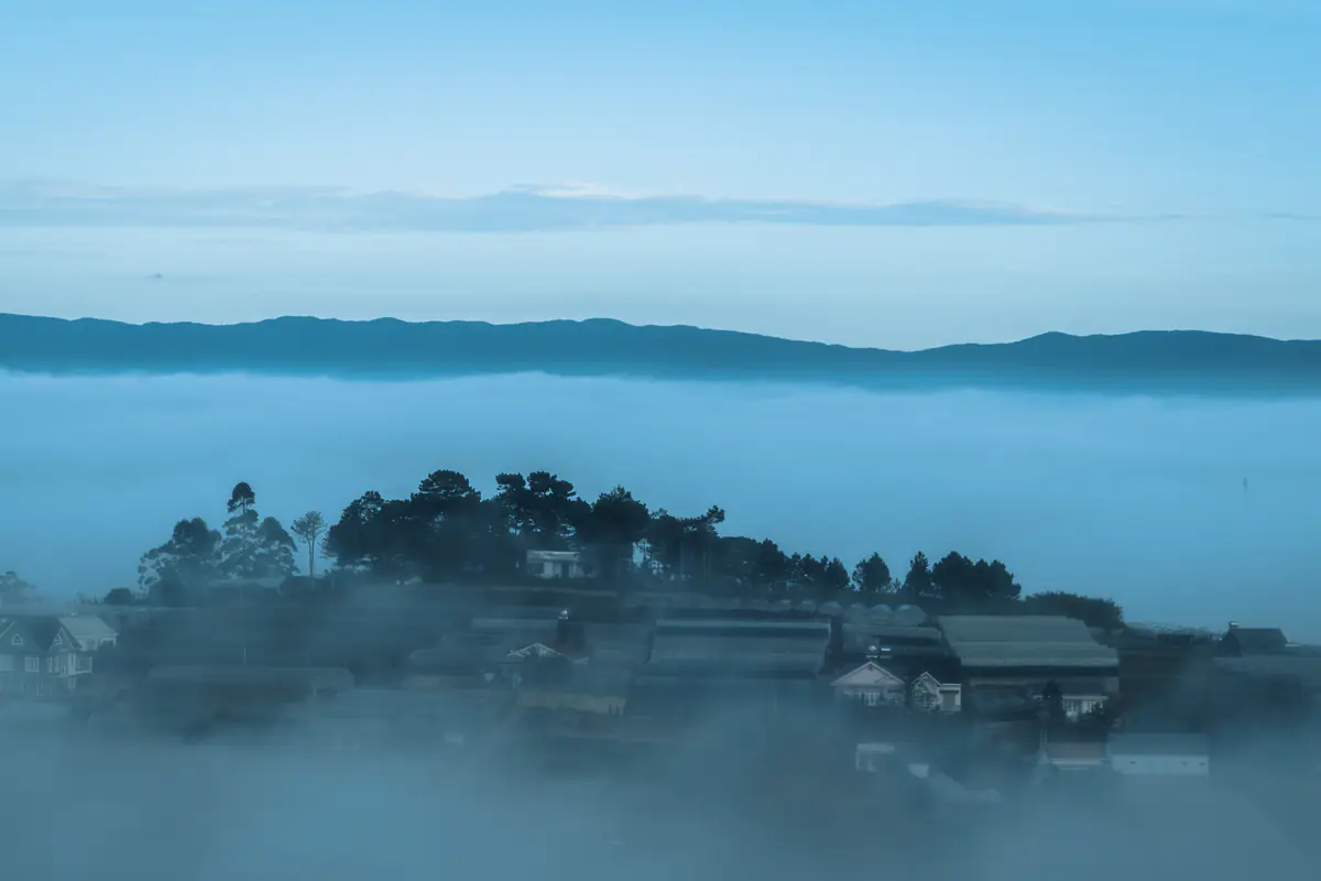 A Da Lat cloud hunting view: a hill with houses and trees rising out of a white sea of clouds on the outskirts just before 6:30am, blue mountains beyond