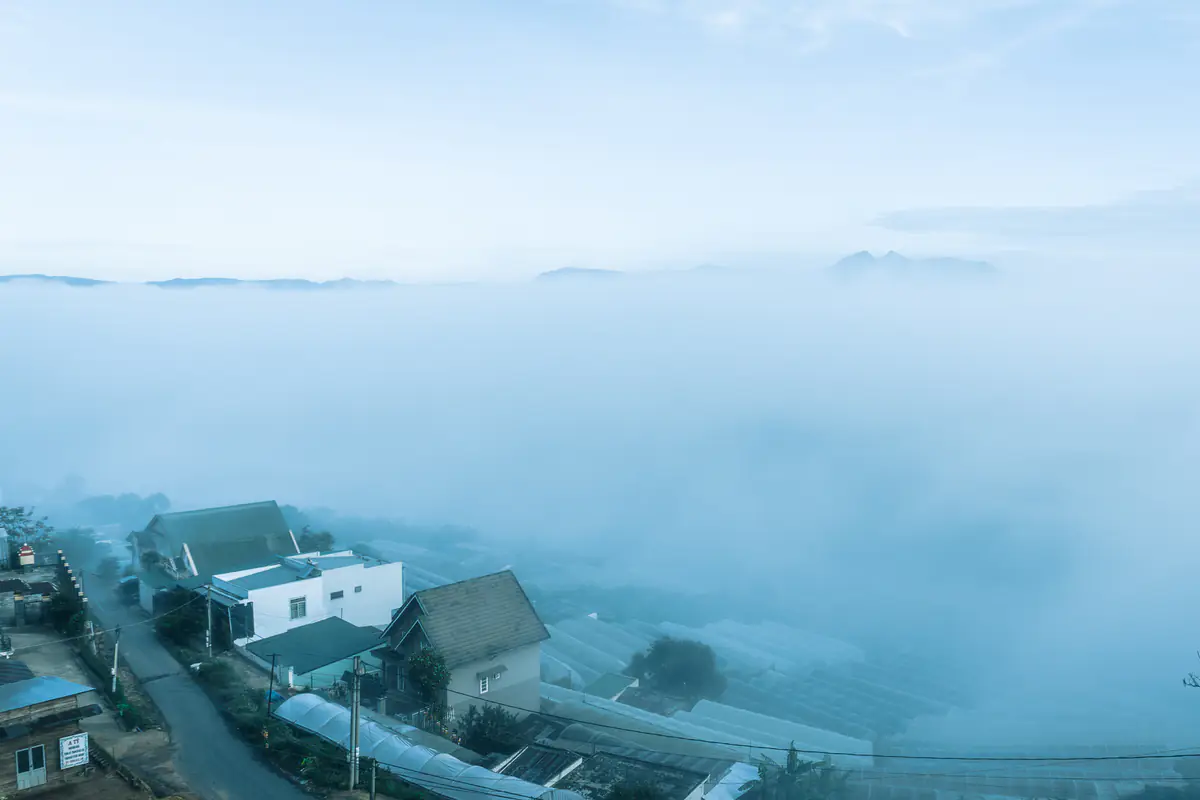Thick fog filling a valley of greenhouses on the edge of Da Lat, with a few houses along a sloping road in the foreground at dawn