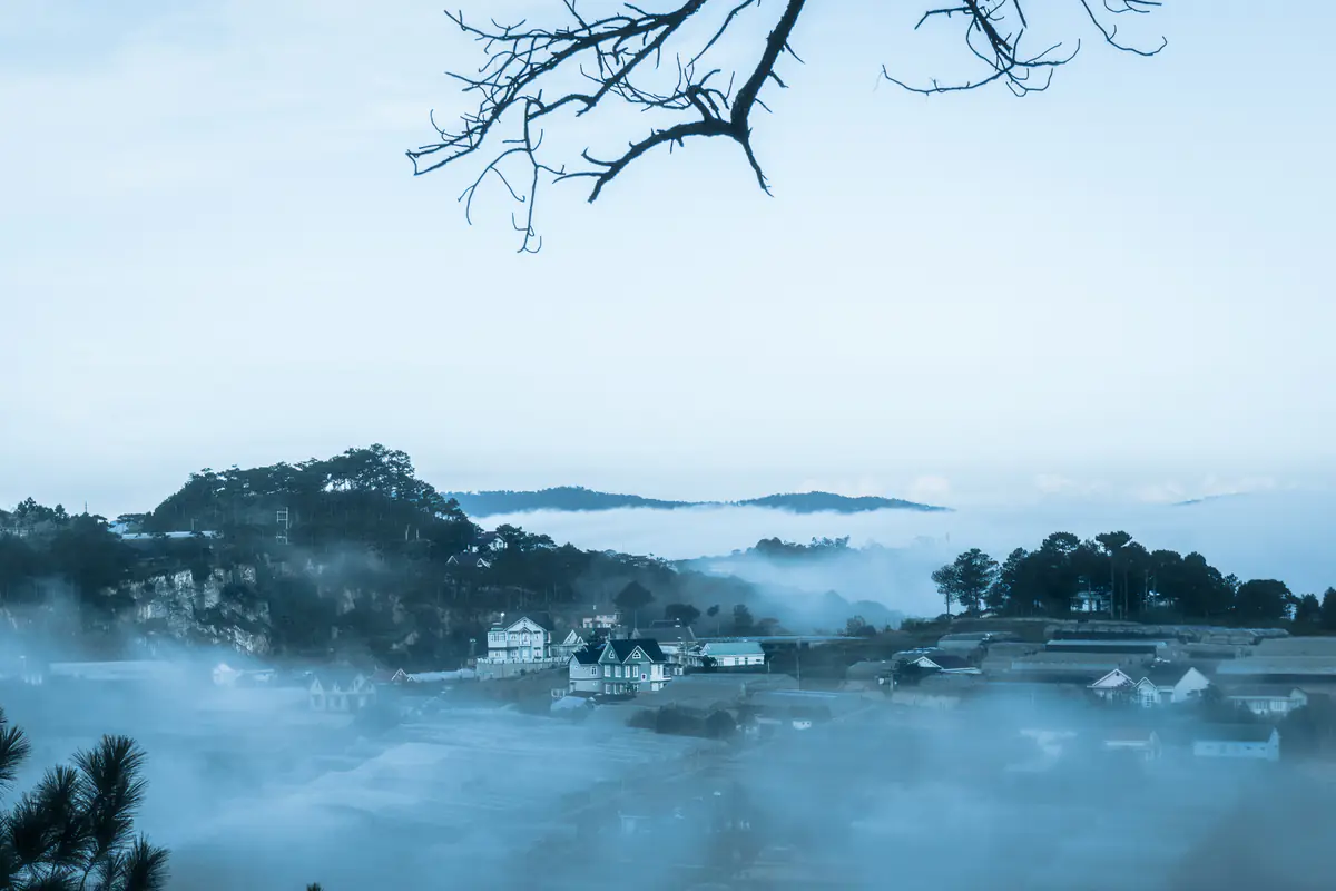 White fog spilling through a valley of houses and pine hills near Da Lat, with a bare branch across the top of the frame