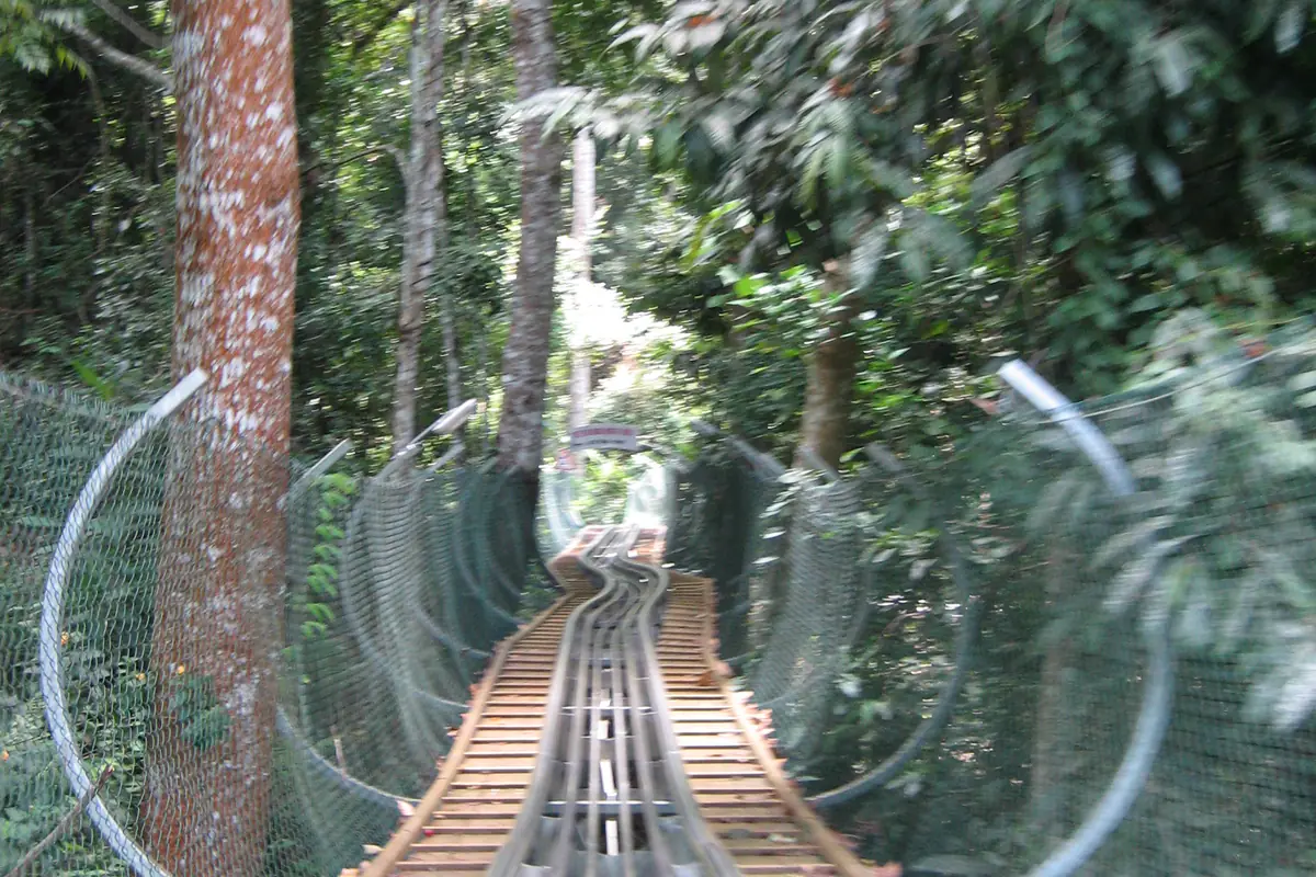 Đường ray máng trượt (alpine coaster) ở thác Datanla uốn giữa rừng cây, hai bên có lưới bảo vệ