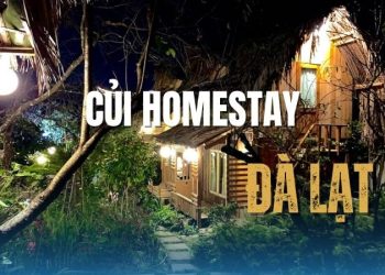 Củi Homestay Đà Lạt – nơi chốn bình yên giữa lòng phố núi!