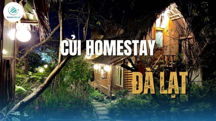 Củi Homestay Đà Lạt – nơi chốn bình yên giữa lòng phố núi!