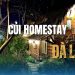 Củi Homestay Đà Lạt – nơi chốn bình yên giữa lòng phố núi!
