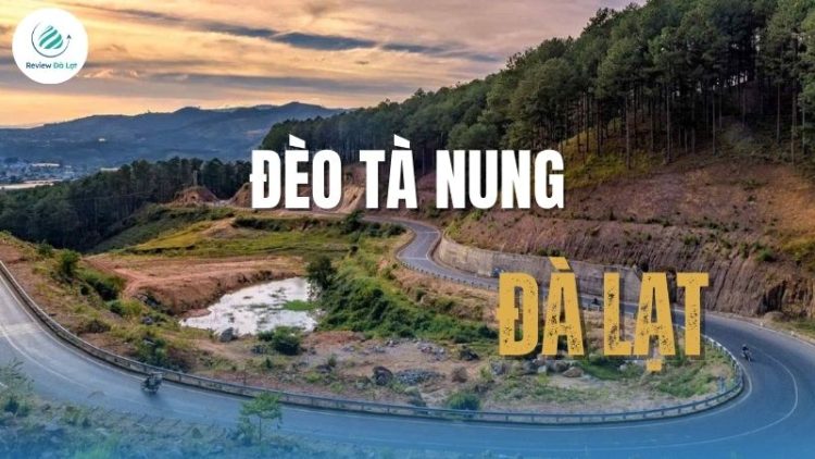 Khám Phá Đèo Tà Nung – Cung Đường Phượt Đẹp Nhất Đà Lạt