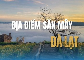 Top 10 địa điểm săn mây Đà Lạt khiến bạn mê mẩn ngay lần đầu