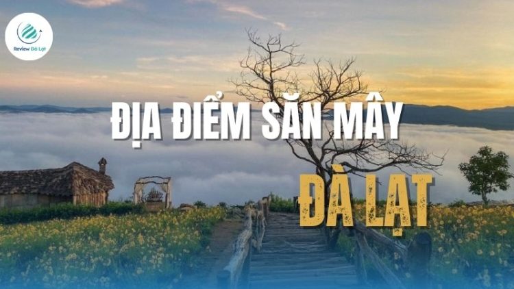 Top 10 địa điểm săn mây Đà Lạt khiến bạn mê mẩn ngay lần đầu