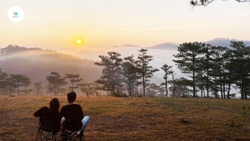 Hòa mình vào không gian tĩnh lặng của thiên nhiên tại đồi Đa Phú Đà Lạt