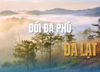 Đồi Đa Phú Đà Lạt: Check-in thiên đường mây mù tuyệt đẹp