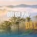 Đồi Đa Phú Đà Lạt: Check-in thiên đường mây mù tuyệt đẹp