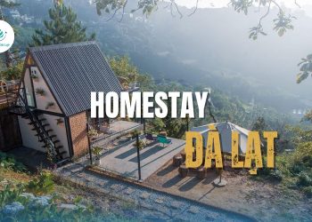 Top 10+ homestay Đà Lạt view cực chill không thể bỏ lỡ