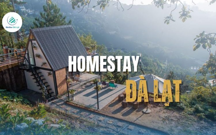 Top 10+ homestay Đà Lạt view cực chill không thể bỏ lỡ