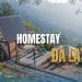 Top 10+ homestay Đà Lạt view cực chill không thể bỏ lỡ