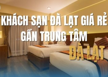 Tận hưởng kỳ nghỉ hoàn hảo với khách sạn Đà Lạt giá rẻ gần trung tâm, thoải mái du lịch mà không lo về chi phí!