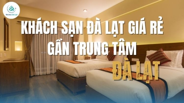 Tận hưởng kỳ nghỉ hoàn hảo với khách sạn Đà Lạt giá rẻ gần trung tâm, thoải mái du lịch mà không lo về chi phí!