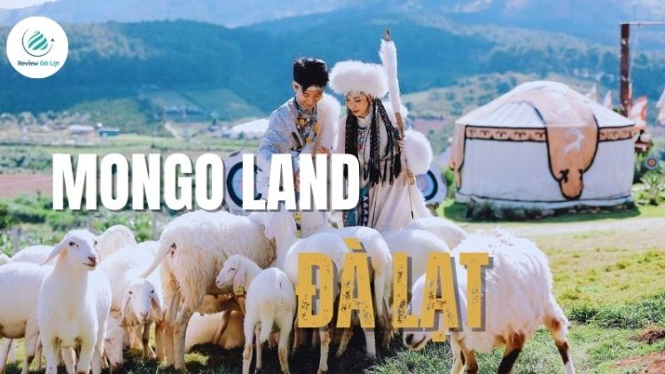 Mongo Land Đà Lạt - Lạc bước giữa “thảo nguyên Mông Cổ”
