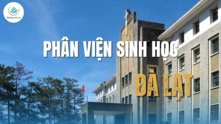 Check-in Phân viện Sinh học Đà Lạt – Chạm vào không gian hoài cổ!