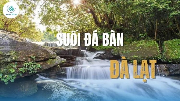 Suối Đá Bàn – Chốn hoang sơ giữa lòng thiên nhiên!