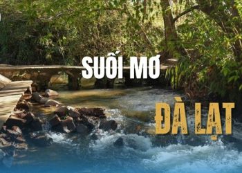 Suối Mơ Đà Lạt