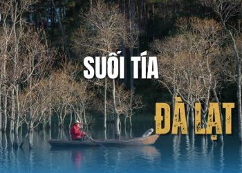 Check-in Suối Tía – Dòng suối trong veo giữa rừng xanh!