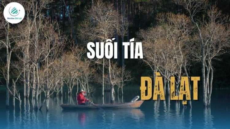 Check-in Suối Tía – Dòng suối trong veo giữa rừng xanh!