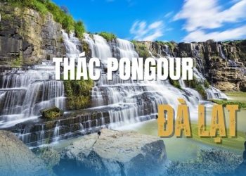 Thác Pongour Đà Lạt - "Nam Thiên Đệ Nhất Thác" hùng vĩ
