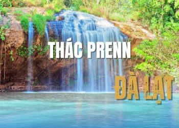 Thác Prenn Đà Lạt: Trải nghiệm vui chơi tuyệt vời nhất 2025