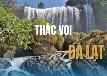 Thác Voi Đà Lạt – Di tích quốc gia và huyền thoại núi rừng