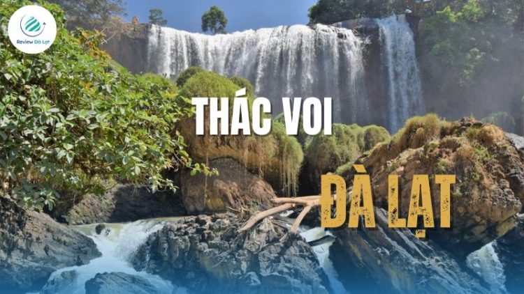 Thác Voi Đà Lạt – Di tích quốc gia và huyền thoại núi rừng