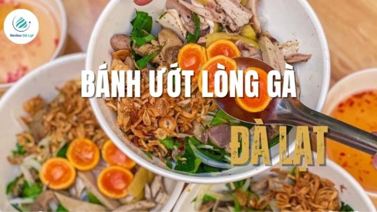 Bánh ướt lòng gà ở Đà Lạt​: Top 20+ quán ngon nên thử