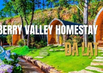 Berry Valley homestay – Điểm dừng chân đầy trải nghiệm tại Đà Lạt