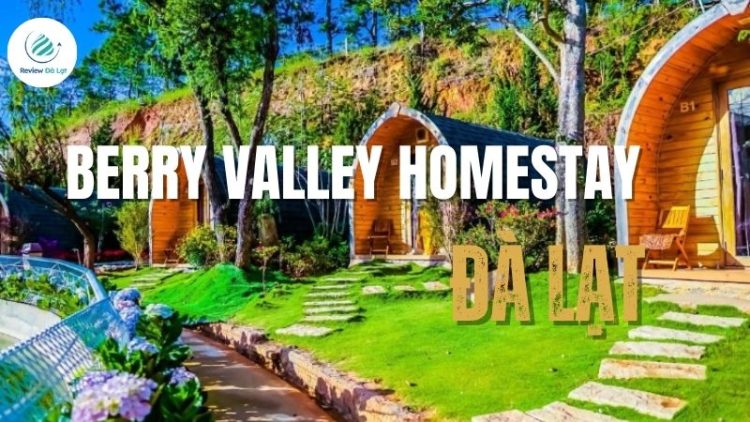 Berry Valley homestay – Điểm dừng chân đầy trải nghiệm tại Đà Lạt