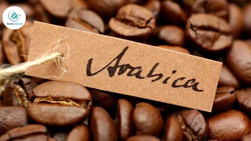 Cà phê Arabica Đà Lạt nổi tiếng khắp thế giới bởi hương vị đặc trưng không lẫn vào đâu được
