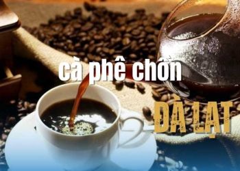 Top 4+ cơ sở cà phê chồn Đà Lạt​ chuẩn vị - Bạn đã biết chưa?
