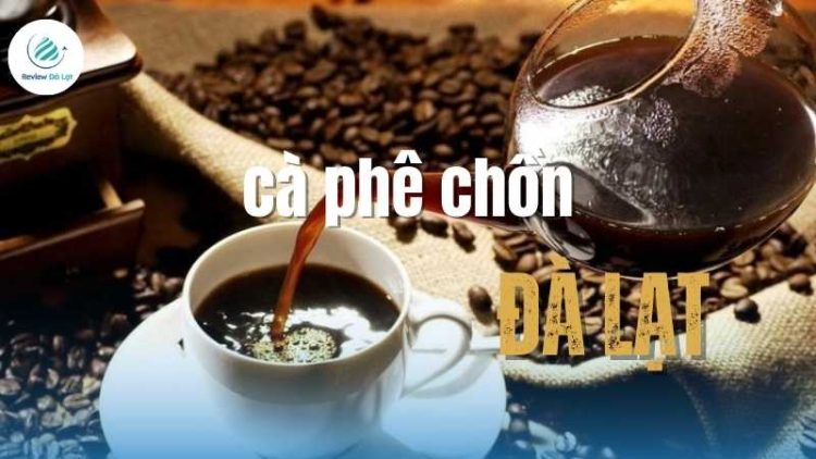 Top 4+ cơ sở cà phê chồn Đà Lạt​ chuẩn vị - Bạn đã biết chưa?