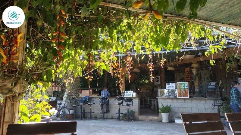 Trải nghiệm tách cà phê chồn thơm ngon tại Weasel Coffee Farm