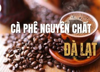 Các loại cà phê nguyên chất Đà Lạt? Nơi bán cà phê nguyên chất